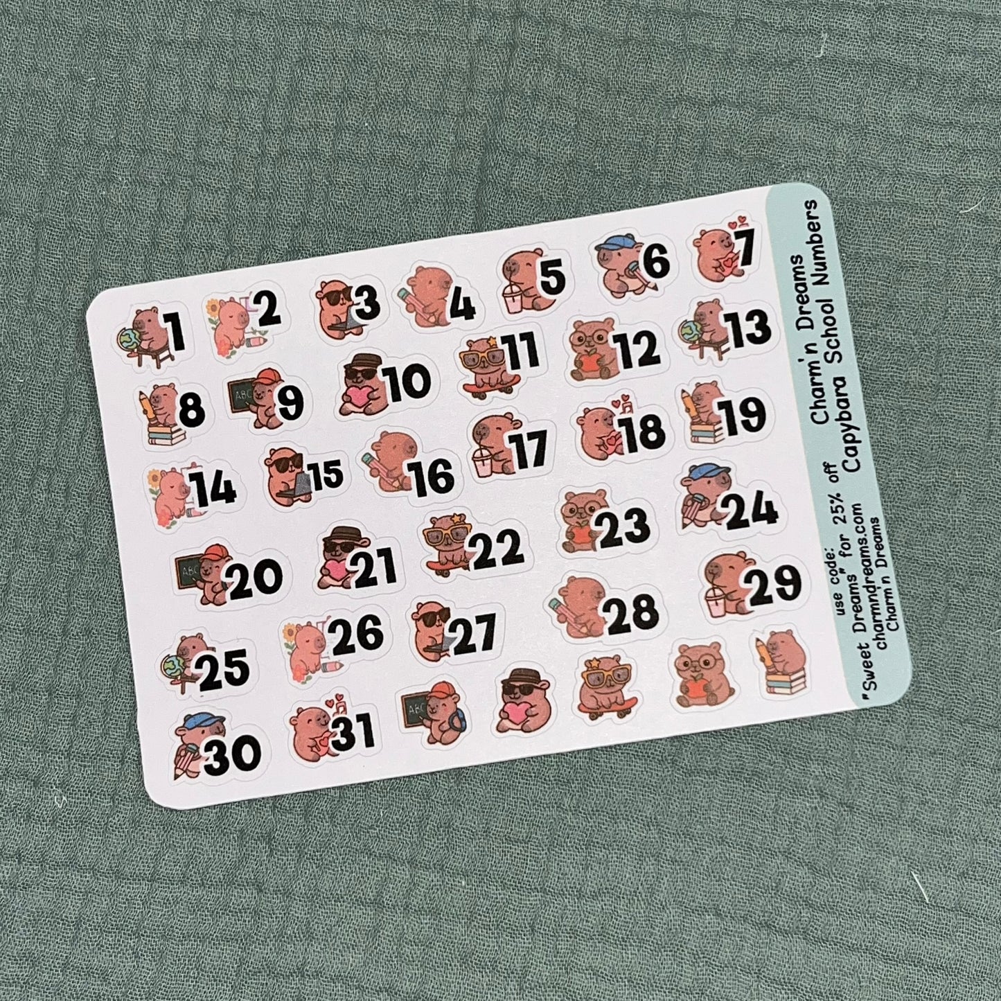 Capybara School Dates Numbers sticker Sheet