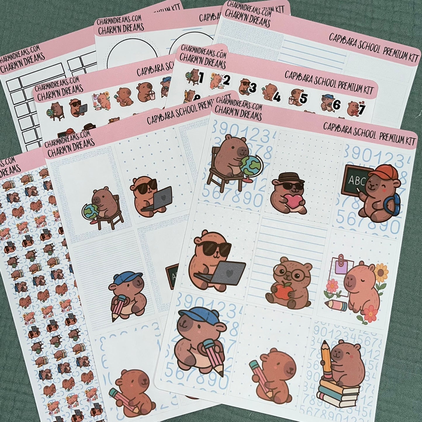 Capybara School Premium Planner Sticker Kit