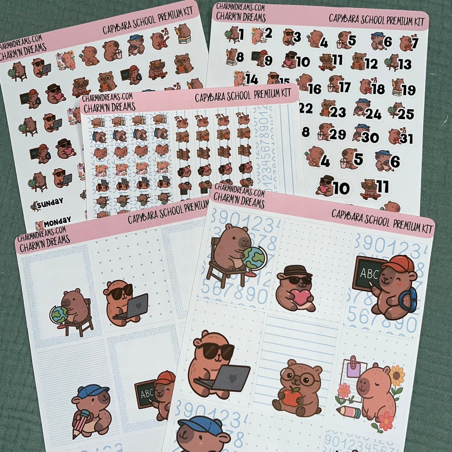 Capybara School Premium Planner Sticker Kit