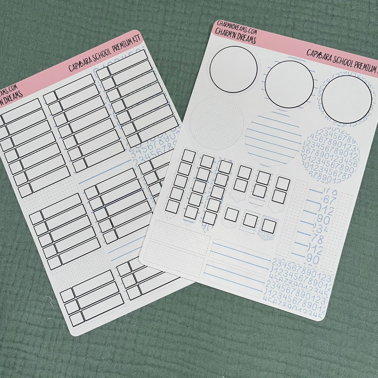 Capybara School Premium Planner Sticker Kit