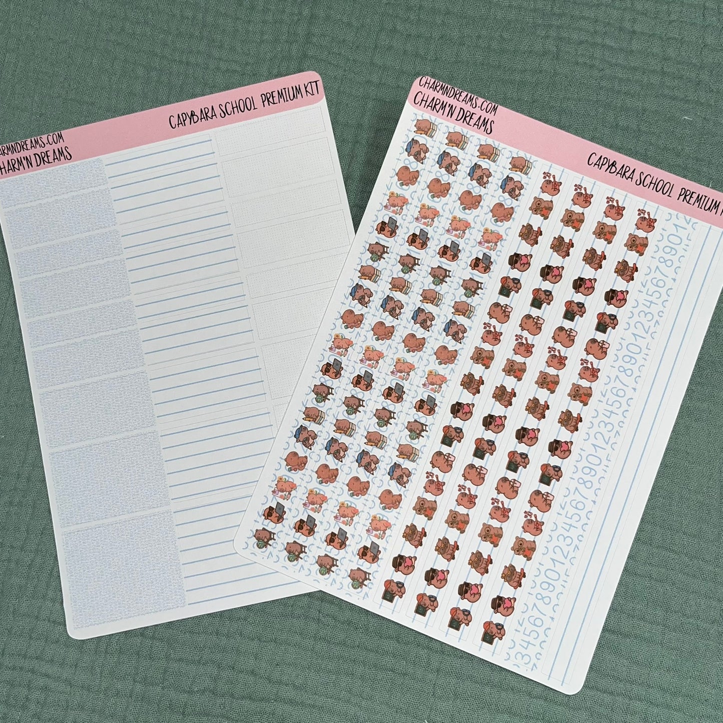 Capybara School Premium Planner Sticker Kit