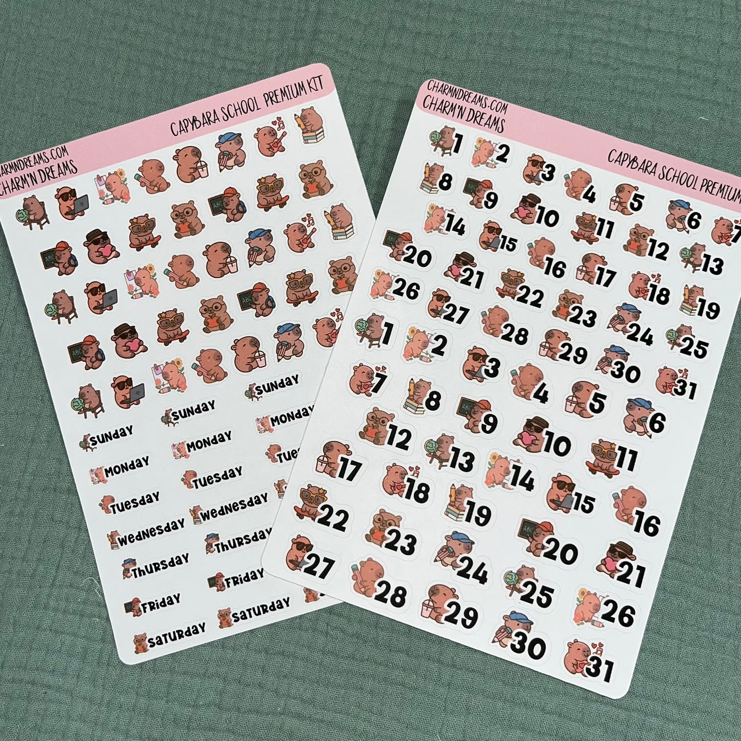 Capybara School Premium Planner Sticker Kit