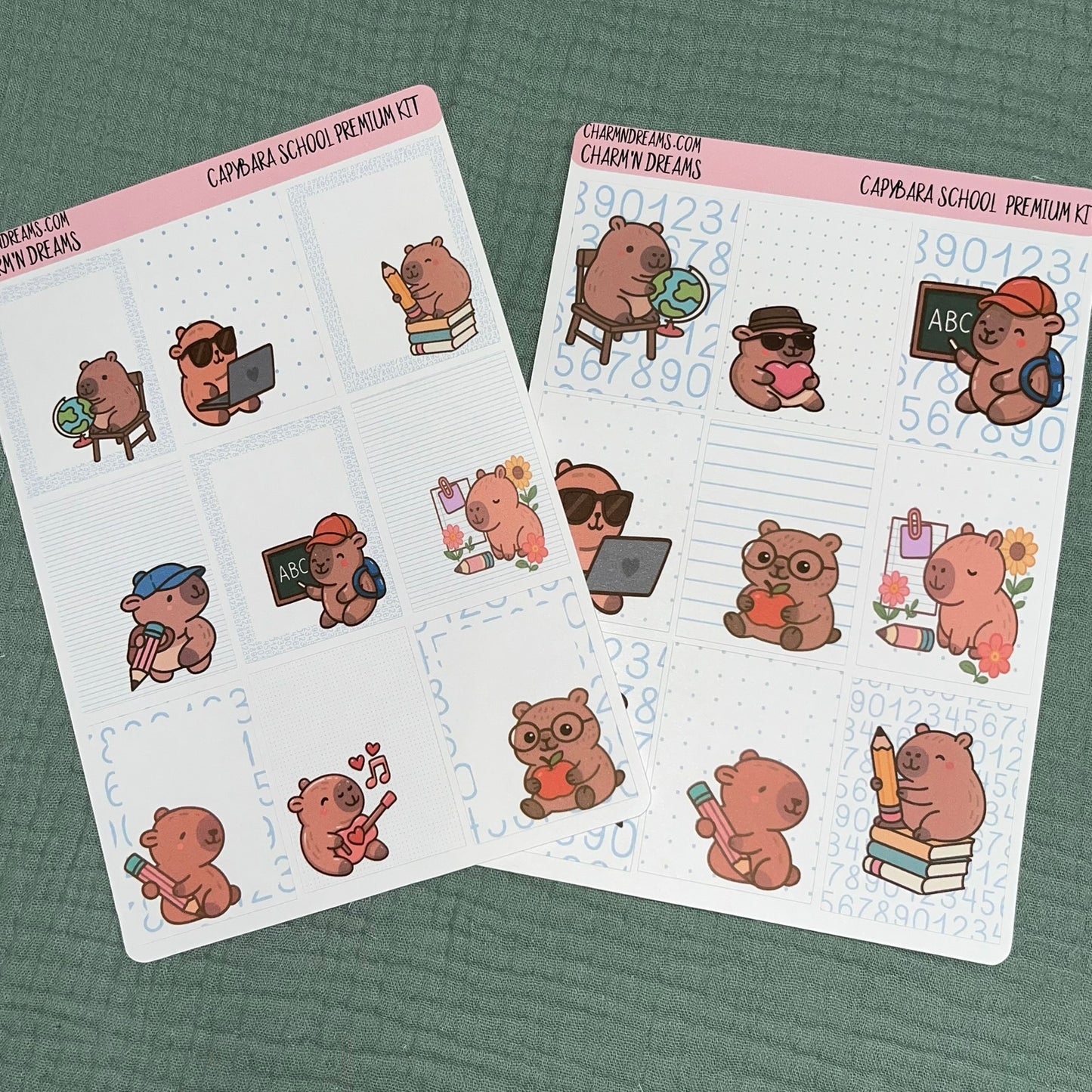 Capybara School Premium Planner Sticker Kit